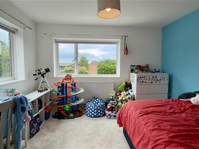 Picture 17